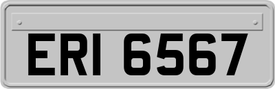 ERI6567