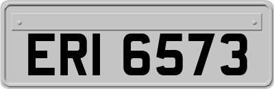 ERI6573