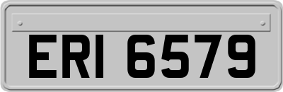 ERI6579