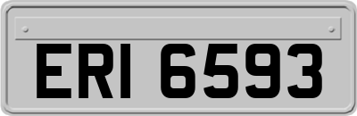 ERI6593
