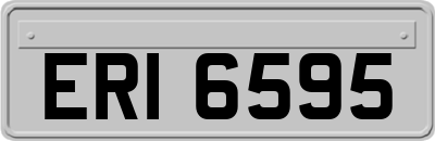 ERI6595