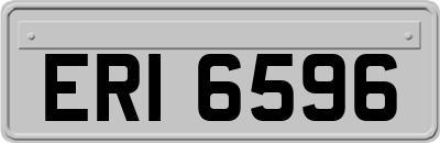 ERI6596