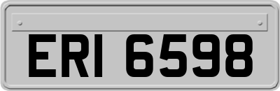 ERI6598