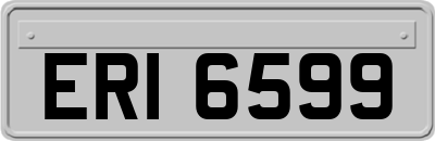 ERI6599