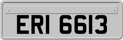 ERI6613