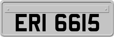 ERI6615
