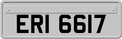 ERI6617