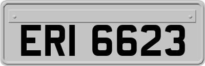 ERI6623