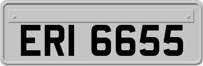 ERI6655