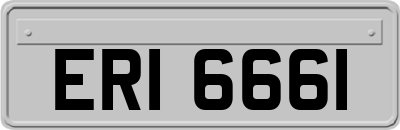 ERI6661