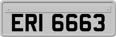 ERI6663