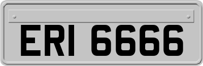 ERI6666