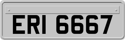 ERI6667