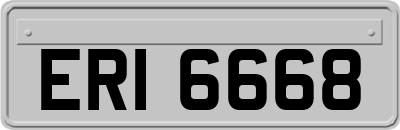 ERI6668