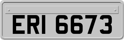 ERI6673