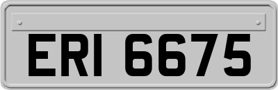 ERI6675