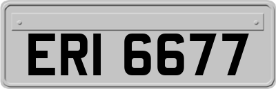 ERI6677