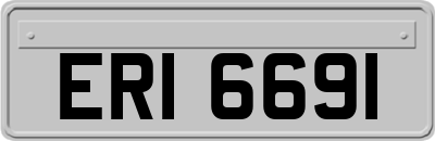 ERI6691