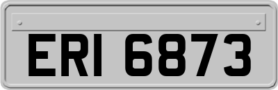 ERI6873