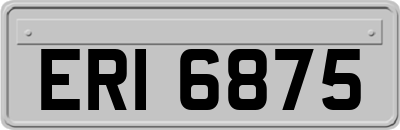 ERI6875