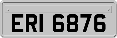 ERI6876