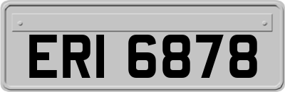 ERI6878