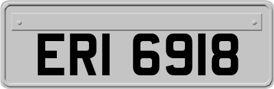 ERI6918