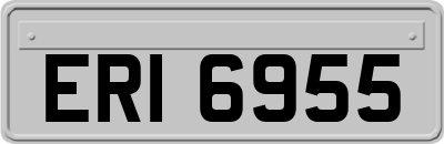 ERI6955