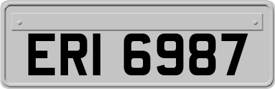 ERI6987