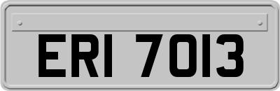 ERI7013