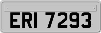 ERI7293