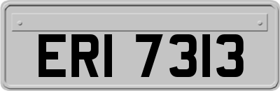 ERI7313