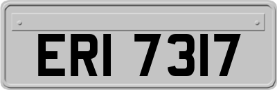 ERI7317