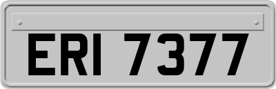 ERI7377
