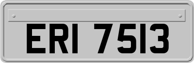 ERI7513