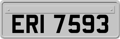ERI7593