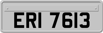 ERI7613