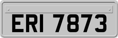 ERI7873