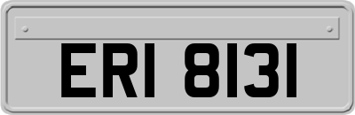 ERI8131