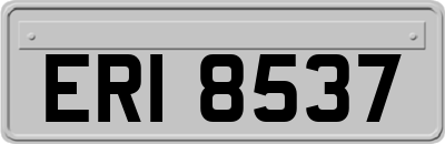ERI8537