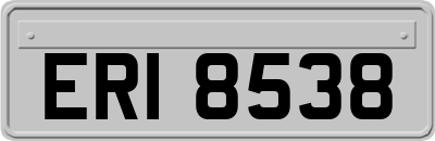 ERI8538