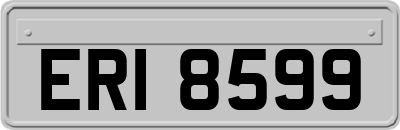 ERI8599