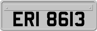 ERI8613