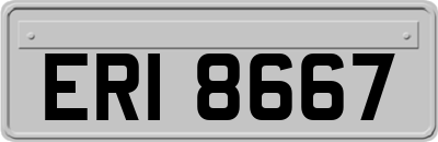 ERI8667