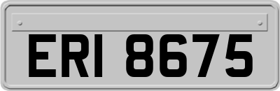 ERI8675