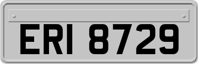 ERI8729