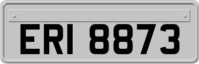 ERI8873