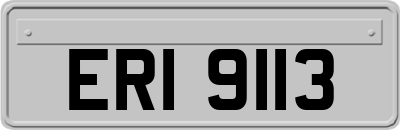 ERI9113