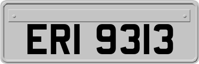 ERI9313