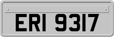 ERI9317